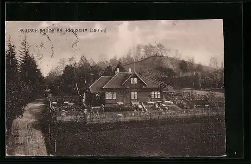 AK Kreischa, Gasthaus Wilisch-Baude mit Garten und Strasse aus der Vogelschau