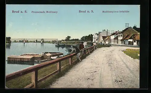 AK Brod a. S., Promenade Mollinary