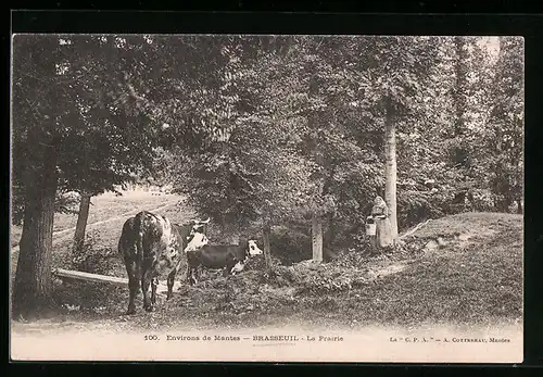 AK Brasseuil. La Prairie