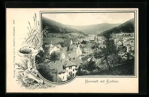AK Herrenalb, Teilansicht mit Kurhaus