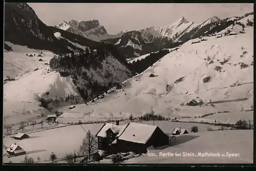 Fotografie Frei & Co. St. Gallen, Ansicht Stein, Mattstock & Speer im Winter