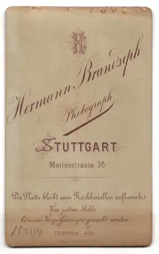 Fotografie Hermann Brandseph, Stuttgart, Marienstr. 36, Süsses Kleinkind im Kleid