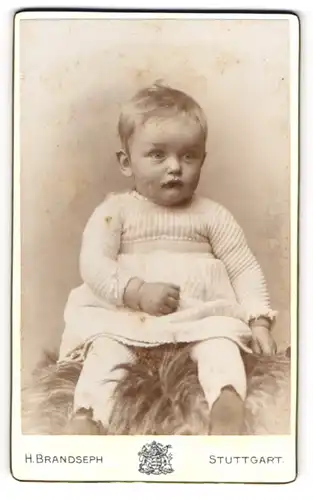 Fotografie Hermann Brandseph, Stuttgart, Marienstr. 36, Kleines Kind im Wollkleid