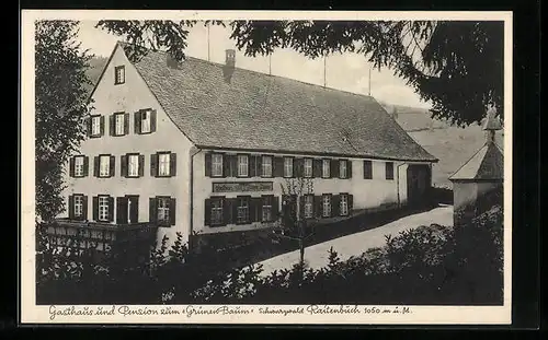 AK Raitenbuch /Schwarzwald, Gasthaus und Pension zum Grünen Baum
