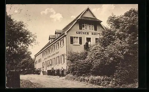 AK Ödsbach bei Oberkirch, Gasthaus und Pension zum grünen Baum