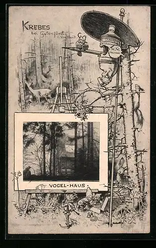 AK Krebes b. Gutenfürst i. Vogtl., Vogel Haus, Reh im Wald