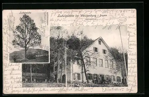 AK Weissenburg i. Bayern, Gasthaus Ludwigshöhe, Luthereiche