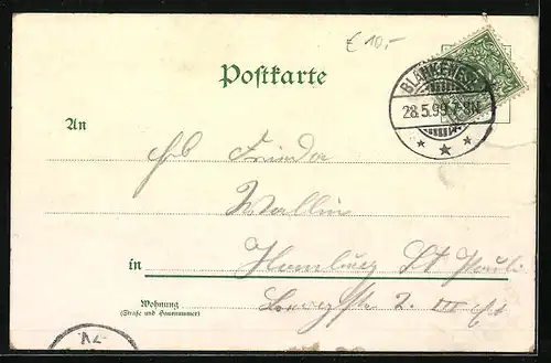 Lithographie Raddampfer Prinzessin Heinrich auf dem Wasser