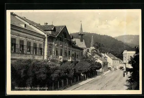 AK Weissenbach-Triestingheim, Strassenpartie mit Wohnhäusern