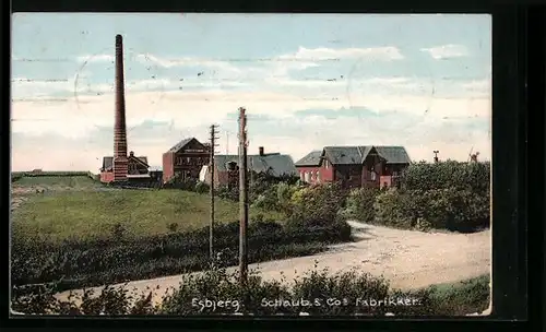 AK Esbjerg, Schaub & Co Fabikker