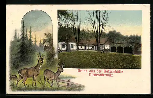 AK Niederoderwitz, Blick auf das Gasthaus Batzenhütte und Rehe