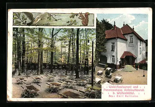 AK Wolfenbüttel, Wald-Restaurant und Pensionshaus Antoinettenruh