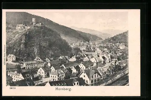 AK Hornberg, Teilansicht der Ortschaft