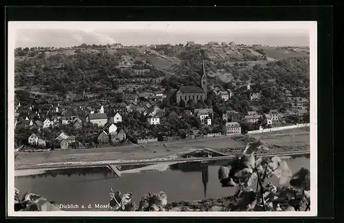 AK Dieblich a. d. Mosel, Luftbild des Ortes