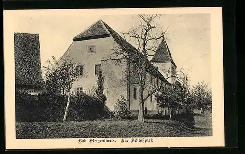 AK Bad Mergentheim, Partie im Schlosspark