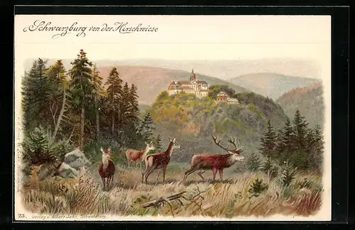 Lithographie Schwarzburg, Blick auf die Schwarzburg von der Hirschwiese aus