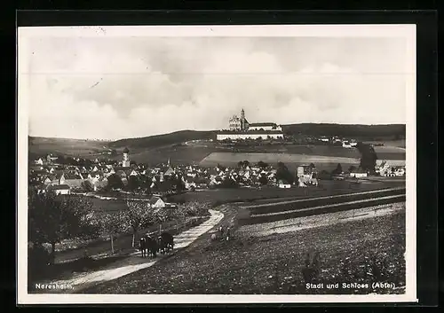 AK Neresheim, Stadt und Schloss aus der Ferne