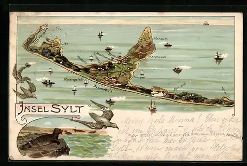 Lithographie Sylt, Landkarte mit den Ortschaften Morsum, Archum, Tinnun, List, Westerland, Robbe auf einem Felsen