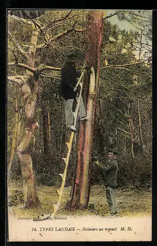 AK Types`Landais, Résinier au travail