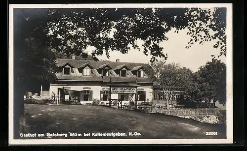 AK Kaltenleutgeben, Der Gasthof am Gaisberg, Bes. Rausch u. Weismayer