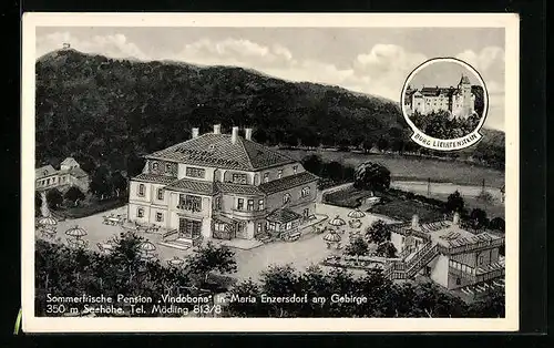 AK Maria Enzersdorf, Pension Vindobona, Burg Liechtenstein