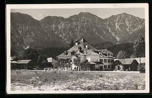 AK Goisern, Ortsansicht mit Bergpanorama