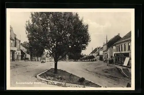 AK Ernstbrunn, Strassenpartie mit einem Baum