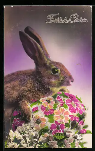 AK Osterhase mit Osterei