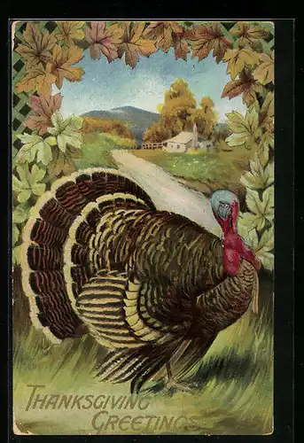 AK Truthahn zu Thanksgiving