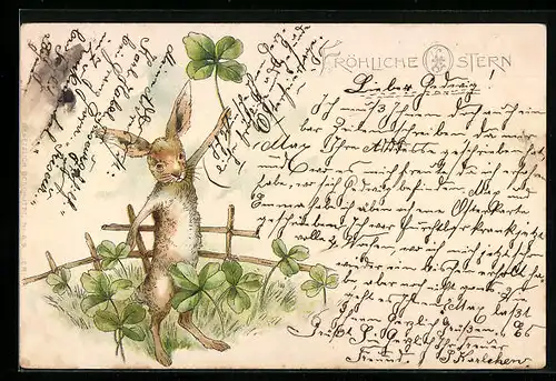 AK Osterhase mit Kleeblatt