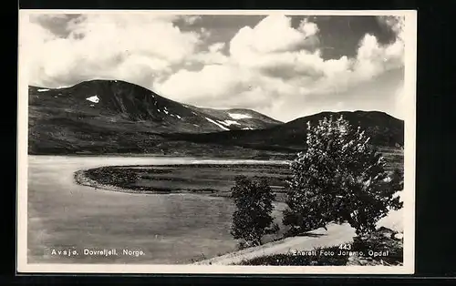 AK Dovrefjell, Avsjo
