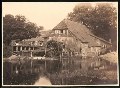 Fotografie unbekannter Fotograf, Ansicht Kuddewörde, Mühle, Wassermühle