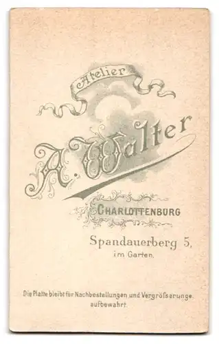 Fotografie A. Walter, Berlin-Charlottenburg, Spandauerberg 5, Junger Herr im Anzug mit Krawatte