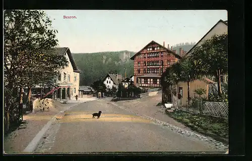 AK Beuron, Strassenpartie am Hotel Klosterhof, Dackel auf der Strasse