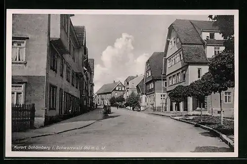 AK Schömberg i. Schwarzwald, Strassenpartie mit Gebäudeansicht
