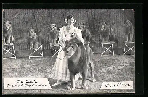 AK Zirkus Charles, Miss Charles mit Löwen, Dompteuse