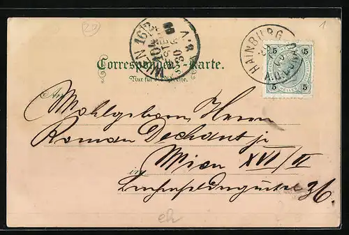 Lithographie Hainburg a. d. Donau, Dampfer passiert die Stadt