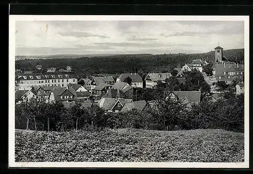 AK Schömberg, Blick vom Hügel auf den Ort