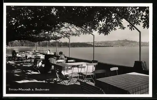 AK Birnau-Maurach a. Bodensee, Gasthof Seehalde, Terrassen am See