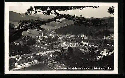 AK Weissenbach an der Triesting, Ortsansicht aus der Vogelschau
