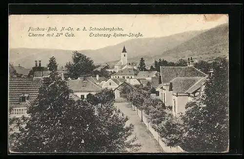 AK Bad Fischau a. d. Schneebergbahn, Erzherzog Rainer Strasse aus der Vogelschau