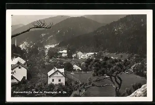 AK Oed im Piestingtal, Teilansicht mit Kino