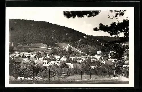 AK Wöllersdorf, Teilansicht der Ortschaft