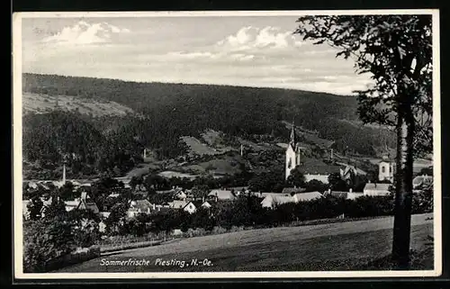 AK Piesting, Ortsansicht aus der Ferne