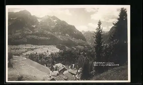 AK Birnbaum i. Lesachtal, Ortspartie mit Blick in das Biegengebirge