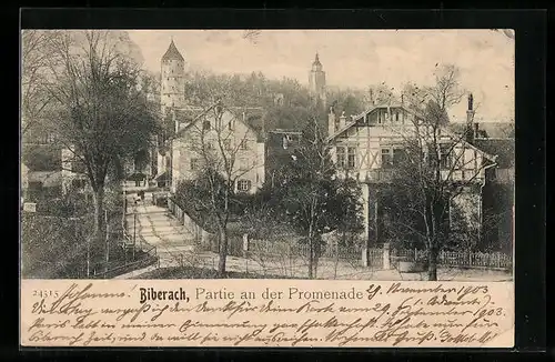 AK Biberach, Partie an der Promenade