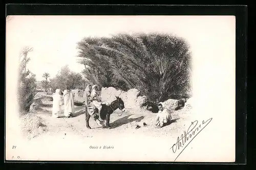 AK Biskra, Oasis