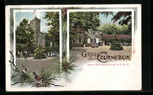 AK Czorneboh /Sächs. Oberlausitz, Gasthaus Czorneboh, Ortspartie