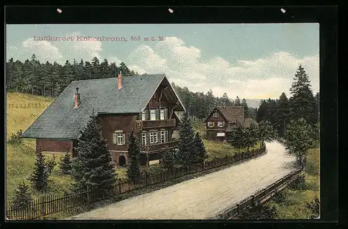 AK Kaltenbronn, Strasse im Luftkurort