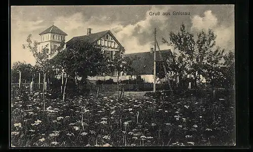 AK Gnissau, Turmgebäude hinter Blumenwiese